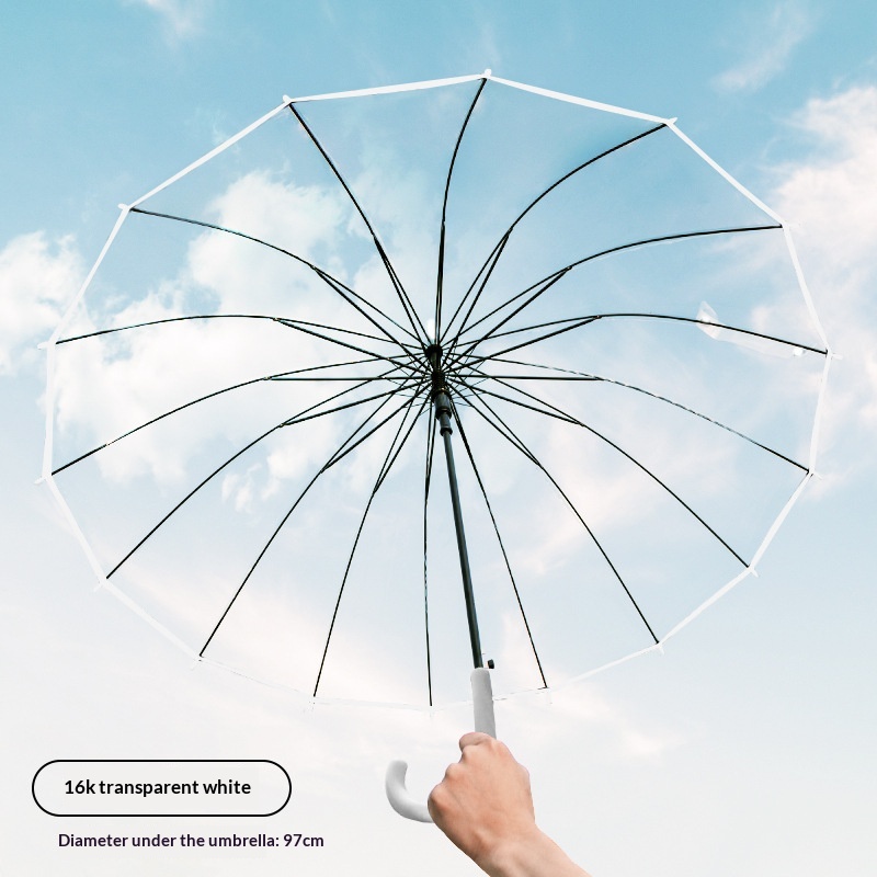 Ein Paar Transparente Große Wi – Golf Umbrella Large Bewertung und Preis